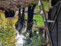 20251011_155208 (1024x768).jpg